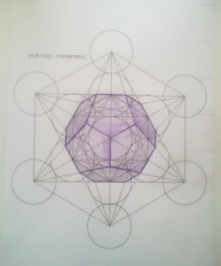 20140216289