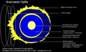 анатомия орба