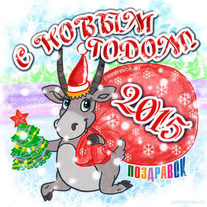 iкоза 2015