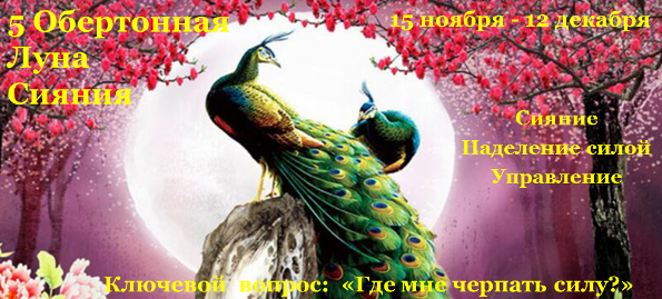 5 Обертонная Луна Сияния Павлин