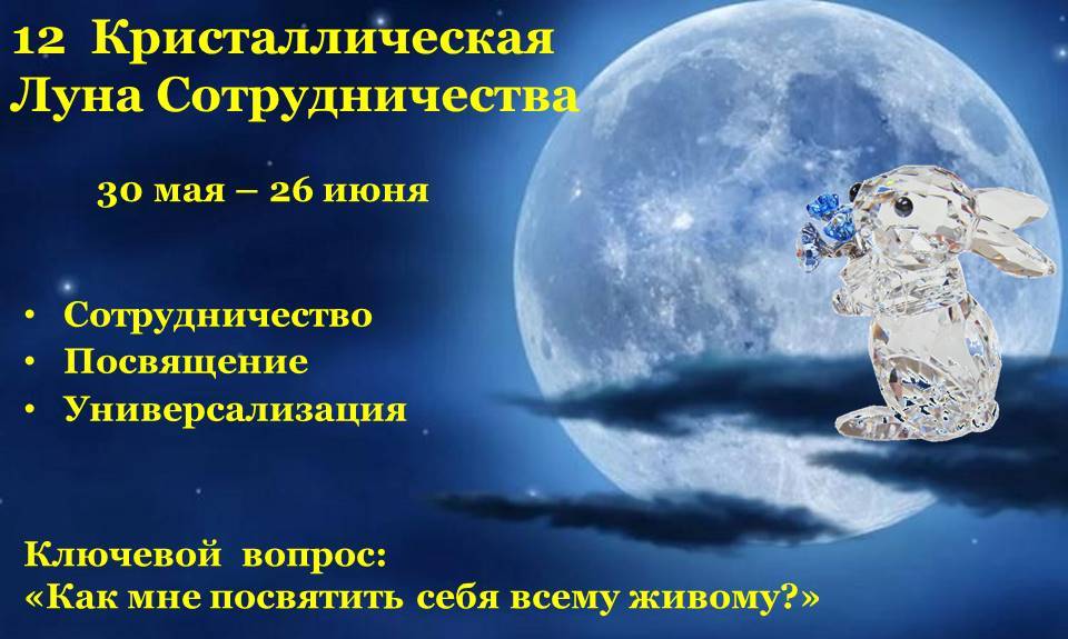 12 Кристаллическая Луна сотрудничества кролик